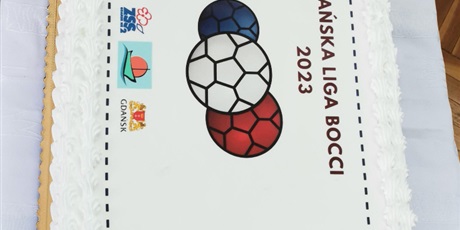 Powiększ grafikę: nasza-reprezentacja-w-gdanskiej-lidze-boccie-492458.jpg