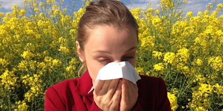Spis alergenów
